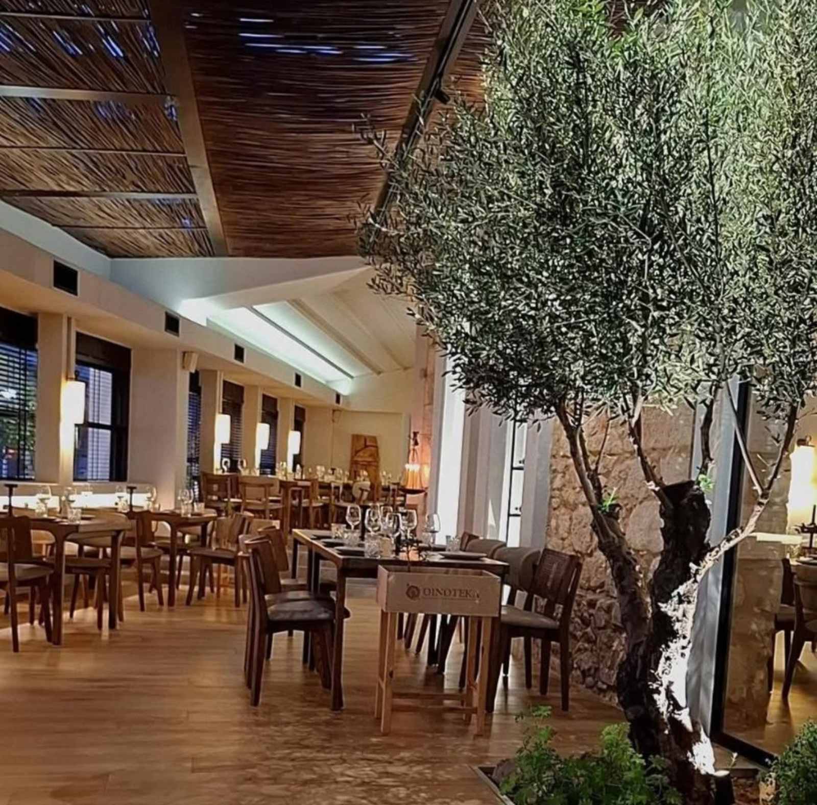 Η αληθινή ελιά στο κέντρο του εστιατορίου ΣΠΟΡΑ